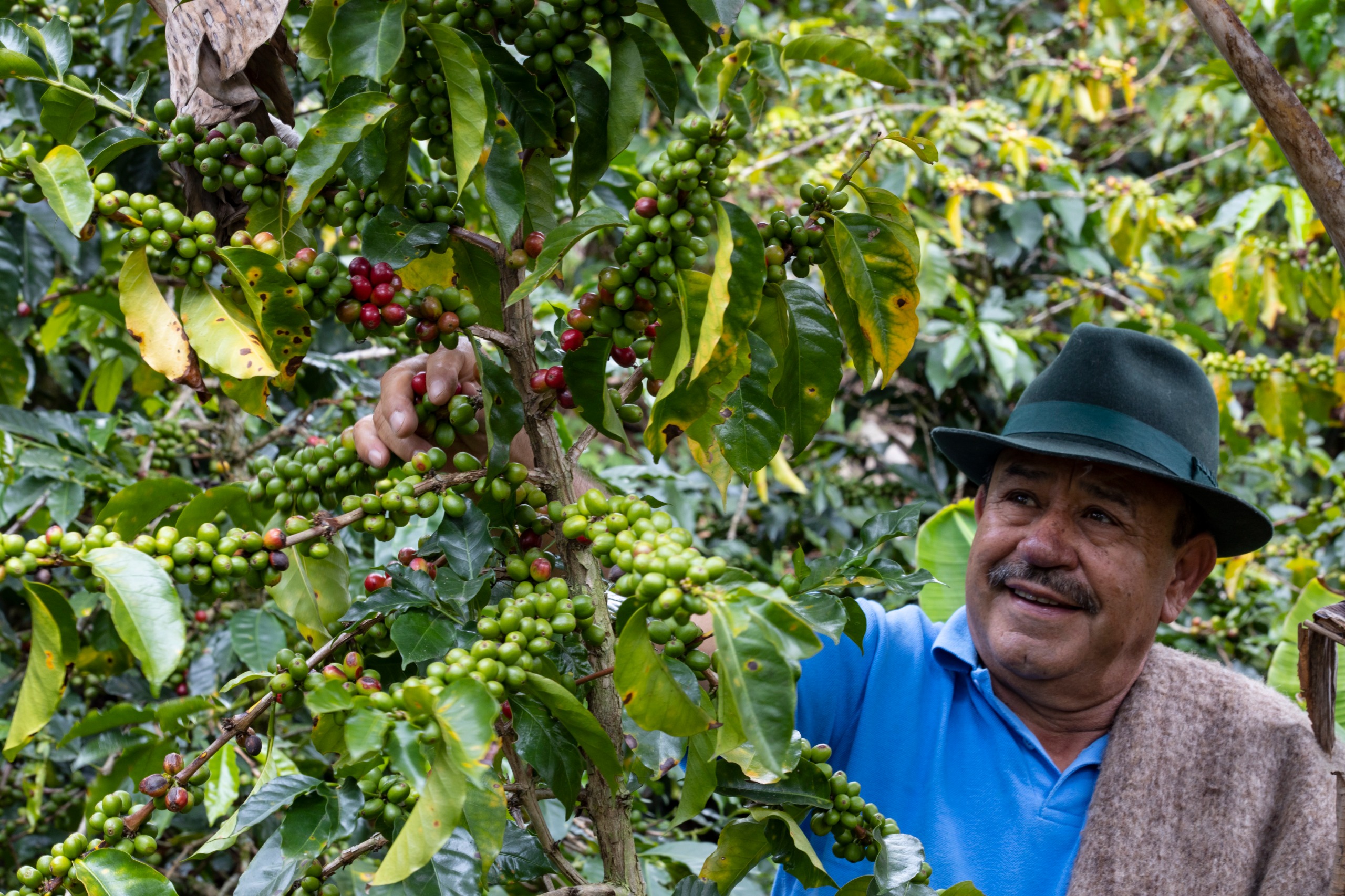 Gobernación de Boyacá cerró la Convocatoria Nº 9 del Fondo FINCA