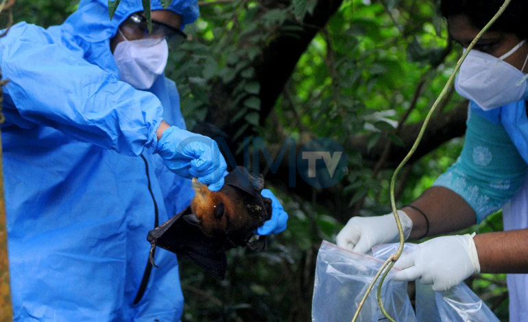  Cuarentena en India por brote del virus Nipah: autoridades activan medidas de control