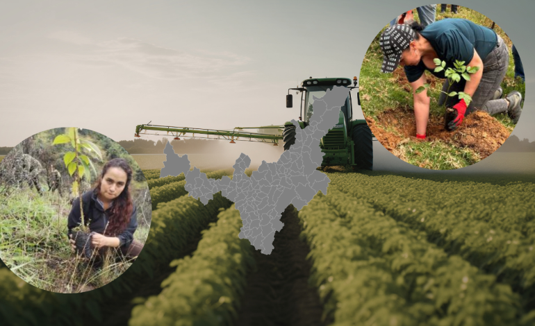  AMPLÍAN CONVOCATORIA PARA EL CONSEJO DE PLANEACIÓN EN BOYACÁ: NUEVA FECHA LÍMITE