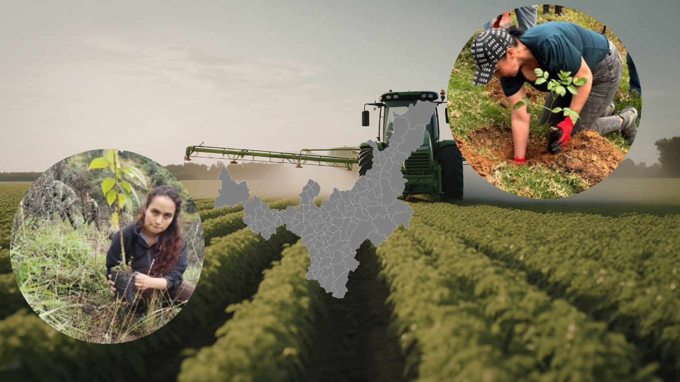 AMPLÍAN CONVOCATORIA PARA EL CONSEJO DE PLANEACIÓN EN BOYACÁ: NUEVA FECHA LÍMITE